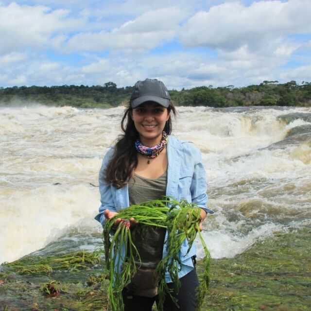 In Plant People episode 6, we’re getting our feet wet with a little “extreme botany.” 🌊🌿

We’re joined by NYBG Assistant Curator Ana María Bedoya, Ph.D. She spends much of her time tracking down aquatic plants that live in some of the harshest conditions, including steep cliffs, river rapids, and tumbling waterfalls—which is certainly on the extreme end of botanical adventuring. Listen in as we discuss her research in the wilderness of South America, the reasons many aquatic plants are especially vulnerable to climate change, and her journeys through Earth’s most extreme ecosystems.

Hit the link in our bio to listen to the full podcast episode, with new ones every other Monday—and don’t forget to rate and subscribe.

#PlantPeople #ExtremeBotany