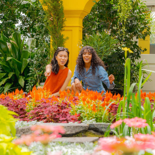 Van Gogh's Flowers is even more sensational in summer! 😎

As the seasons change, so too do the botanical displays of our exhibition in and around the Haupt Conservatory. See the field of monumental sunflowers grow taller and more lush as the days pass, while the palettes of plants inside our landmark glasshouse shift with new summer flowers taking the place of spring favorites.

Don't forget that NYBG Members get to see the show as often as they like as it continues through October 26—register through link in bio!

#VanGoghsFlowers #VanGogh