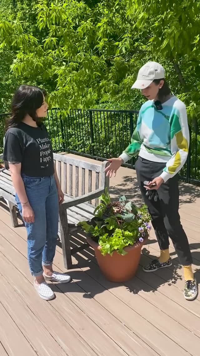 If you don’t have space for a full garden, container planting is your best bet! Come learn how to get started with @thesill. 🪴🌼
 
Together with Paris, The Sill’s Head of Plant Education, and Annie, our Manager of the Edible Academy, come learn about how to start a garden on a terrace or a balcony—with tips on how to work with limited space, as well as the best soil mixtures, container sizes, and plants to make use of. Happy gardening!