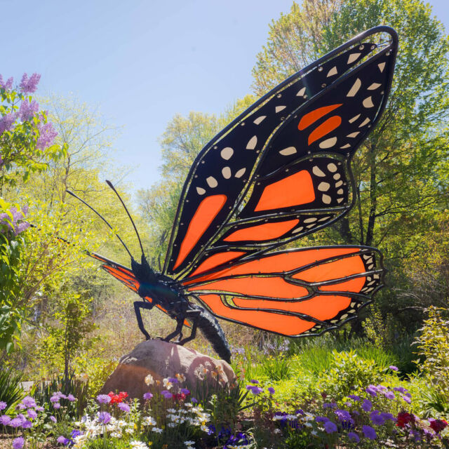 School may be out, but the Everett Children's Adventure Garden is very much IN—and recently reopened after its all-new renovation! 🦋🌱

Make learning fun throughout summer vacation with a stop at our kids' play space, with hands-on activities themed around our latest exhibition—Van Gogh's Flowers—plus plenty of nature to explore indoors and out. Learn from our NYBG Explainers in the discovery center, wander lush green trails as you explore the world of local NYC wildlife, and get in touch with nature through storytime book readings and so much more.