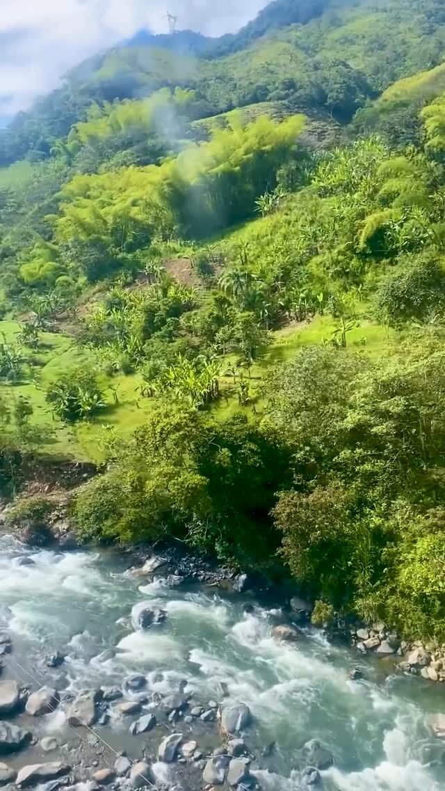 In our final Plant People episode of Season 2, we discuss how engaging with nature through travel makes us more inclined to protect it—and the ways that tourism can actually help our planet. 🌎

As an avid adventurer and botanist who’s worked all around the world, Dr. Mauricio Diazgranados, NYBG’s Chief Science Officer, knows how vital it is to make exploration both sustainable and economically beneficial. Here he walks us through his vision for the bioeconomy, where the world’s biodiversity hotspots become opportunities for ecotourism, enhancing the lives of local communities while supporting conservation.

Hit the link in our bio to listen, and don’t forget to rate and subscribe.

#PlantPeople