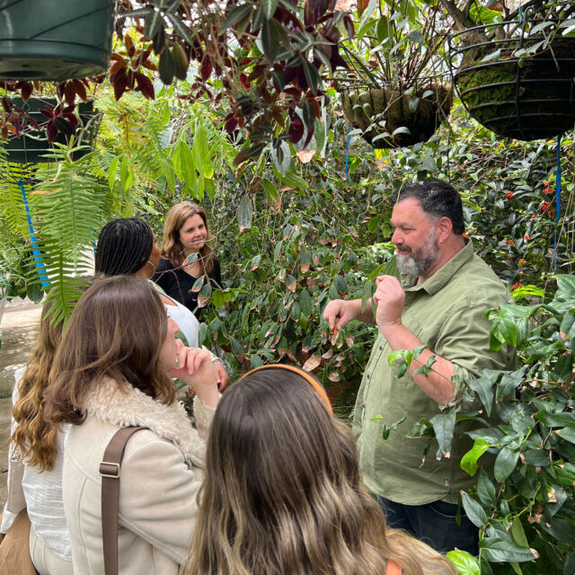 🌱 Are you a plant person?
📸 Do you love creating engaging digital stories?
💚 Is NYBG an important place in your life?

If you answered yes to all the above, then the NYBG Cultivators program is perfect for you! This program gives a select group exclusive access to NYBG like never before, with behind-the-scenes tours, first looks at our world-class exhibitions, networking and mentorship opportunities, and one-on-one time with our expert staff. Learn more at the link in bio and apply by August 1 to try out for our latest cohort.

#NYBGCultivators