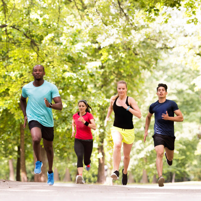 Calling all runners—the all-new NYBG 5K Fun Run is ON, and we’d love to see you there! 🏃🌿

Join us on September 21 as we kick off #ClimateWeek with a 3.1-mile run through some of the Garden’s most beautiful summer collections. You’ll be directly supporting our work around the world to protect biodiversity and develop plant-based solutions to climate change, and afterwards, we’ll have a meet-and-greet with NYBG experts while you pick up your Fun Run T-shirt!

Get registered through link in bio and we’ll see you at the starting line. 👟

#NYBGFunRun @boogiedownbronxrunners
