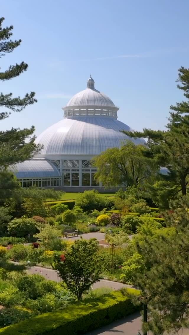 This September, join NYBG during #ClimateWeek NYC 2025—where we bring together the community and scientific experts to harness the power of plants for climate solutions. 🌎

Hear from NYBG President and CEO Jennifer Bernstein as we gear up for the September 21 kick-off, starting the week in high gear with our NYBG 5K Fun Run. Get registered for our upcoming keynote address from Dr. Carlos Nobre where he’ll discuss solutions to the threats facing the Amazon rain forest, stick around for our panel discussion on what can be done to halt biodiversity loss and enhance climate resilience—and enjoy tours, a Science Open House, and more.

Learn more and sign up for these events through the link in our bio.