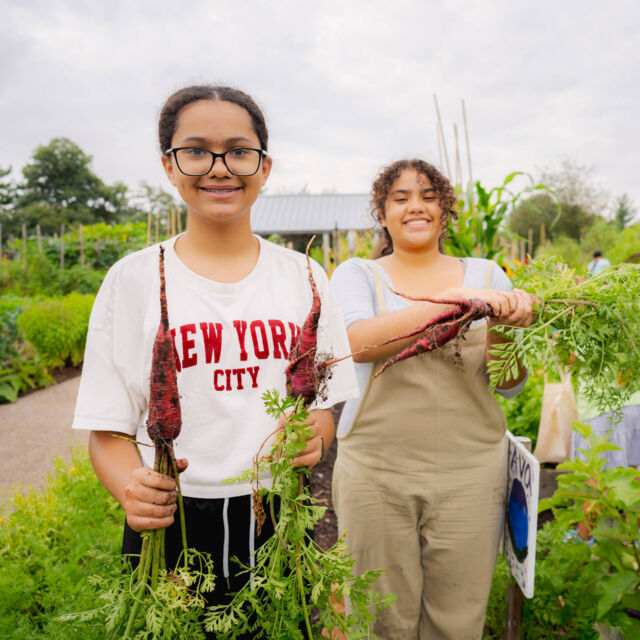 What are your kids up to this fall? Get them outdoors and into the garden with kids' programs starting soon at NYBG! 🧑‍🌾
 
Kicking off September 6, our Children’s Gardening Program is the perfect way for your little ones to get their hands dirty. Guided by instructors, they’ll plant, tend, and harvest fresh vegetables and herbs, and learn about everything from pollination to composting in our state-of-the-art Edible Academy.
 
There's still time to register for this and other out-of-school programs sure to spark their interest in nature! Hit the link in our bio to get started.