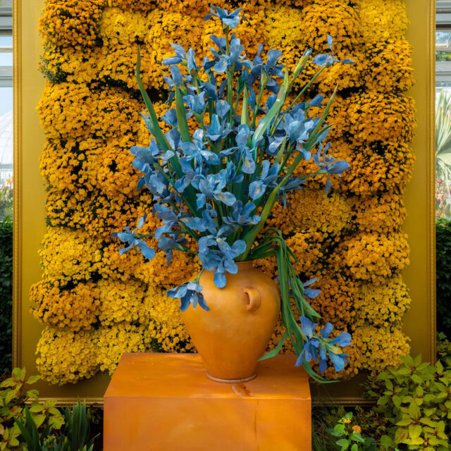We’re into the final month of Van Gogh’s Flowers—and there’s not much time left to experience it for yourself! 🎨🖌️

Join us through October 26 to wander through our inspired world of abundant flowers and large-scale contemporary art, each display evoking the scenes and floral moments that Vincent Van Gogh painted. This weekend, see this colorful spectacle in all of its fall colors—indoors and out—with tickets through link in bio.

#VanGoghsFlowers #VanGogh