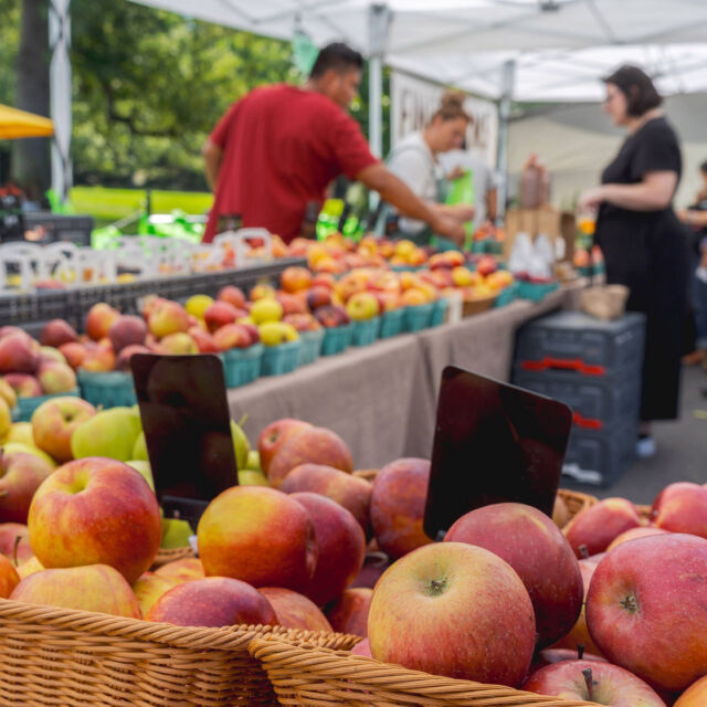Fall is here and the NYBG Farmers Market is bustling—but it won’t stick around much longer! 🌽🍎🥬

Through October 22, join us each Wednesday from 10 a.m. to 3 p.m. to stock up on fall favorites including a wide variety of apples, all sorts of pumpkins, gourds, and squash, and a variety of other harvest season fruits and vegetables. With specialty foods, snacks a-plenty, and local artisan goods also on offer, it’s the perfect addition to your day at the Garden.