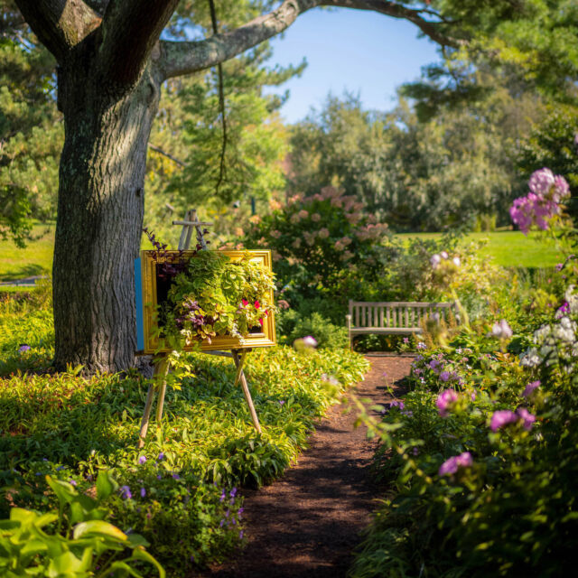 With a long weekend ahead of us, and the Garden open through Monday, it’s the perfect time for a magical fall outing to NYBG! 🪄🍂

Don’t miss Van Gogh’s Flowers in its final weeks, where you can see the show in all its autumn beauty before it ends on October 26. And this Saturday, catch a special celebration for the opening of our @wicked_musical Broadway Garden, with song performances by Glinda and Elphaba, face painting, trivia with prizes, and more. Hit the link in our bio to hear from the @nytimes, and learn how we brought this pink and green botanical spectacle to life!

#VanGoghsFlowers #WickedNYBG
