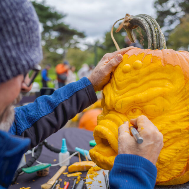 It’s nearly time for our Annual Pumpkin Carve-Off, and this Saturday, we want you there to vote for the winner! 🎃

Together with pro carver @adambierton, our master of ceremonies, stop in on October 18 from 11 a.m. to 4 p.m. as three of the region’s top pumpkin carvers—@lennycalvincreations, @the_pumpkin_artist, and @johndavis_art—put their skills to the test while sculpting imaginative jack-o'-lanterns. YOU get to vote for the winner, and it’s a great chance to explore the Garden in all of its fall flavors, from pumpkin displays in the Everett Children’s Adventure Garden to seasonal beer offerings in the Visitor Center, and Van Gogh’s Flowers in its final days.

Adam will also be back this coming Sunday doing some carving of his own, so don’t miss this coming weekend of autumn excitement!

#AutumnOnTap
