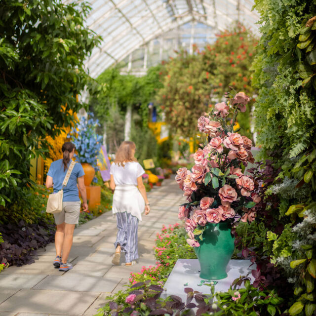 We’re open today as Van Gogh's Flowers enters its final weeks!

Don't let the weather keep you cooped up—it's always warm and tropical in the Haupt Conservatory, where the exhibition invites you to take a closer look at Vincent's muses brought to life in contemporary artworks. The show's only open through October 26, so if you've been waiting to catch it, now's the perfect time.

#VanGoghsFlowers