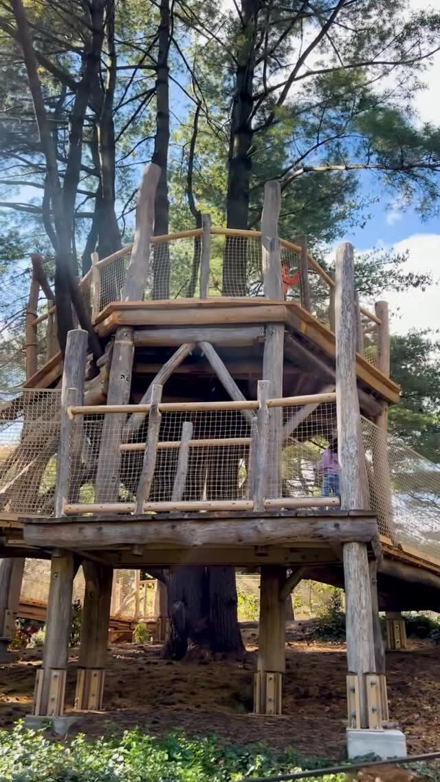 Look up! There’s an all-new experience for kids and families in the Everett Children’s Adventure Garden that’ll take your visit to new heights. 🌲🪽
The Tree Top Walk invites kids of all ages and abilities to get a bird’s eye view of their surroundings! Traverse a series of pathways that take you up into the canopy of the Adventure Garden’s pine trees, for a closer look at these important parts of the natural world.
With our Fall Forest Weekend—full of crafts, tours, and activities—happening this Saturday and Sunday, it’s a perfect time to check it out with tickets through link in bio.
#TreeTopWalk #FallForestWeekend