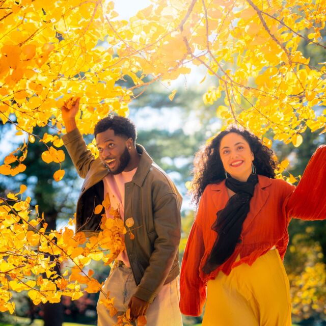 Fall foliage has hit its peak at the Garden, and throughout our 250 acres, you’ll find hues of yellows, oranges, and reds that provide the perfect backdrop for an autumn day out 🍂 Make sure to stroll through the Forest to see some of the best color, snap a few photos, and even pretend you’re in a classic movie set in NYC (it's ok, we all do it) ⭐️ #fallcolors #fall #nyc #autumnleaves