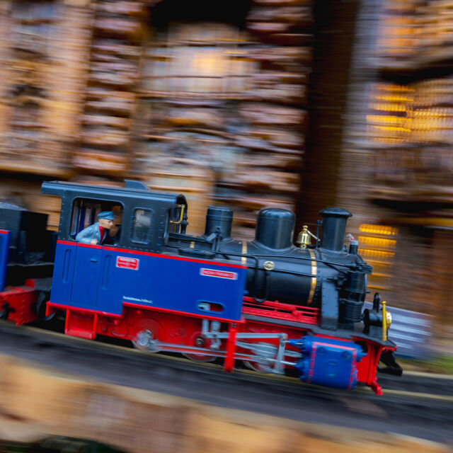 Friends in town, or just looking to get out of the house? Treat your crew to a truly New York experience at the Holiday Train Show! 🎟️🎁

Our cityscape in miniature is a warm and welcoming escape from the winter chill, and an instant memory maker. Plus, you can get your holiday gift shopping done at @nybgshop while you’re here—and round out your day with lunch reservations at the Hudson Garden Grill.

Hit the link in our bio for more friend date fun to get into at NYBG!

#HTSNYBG