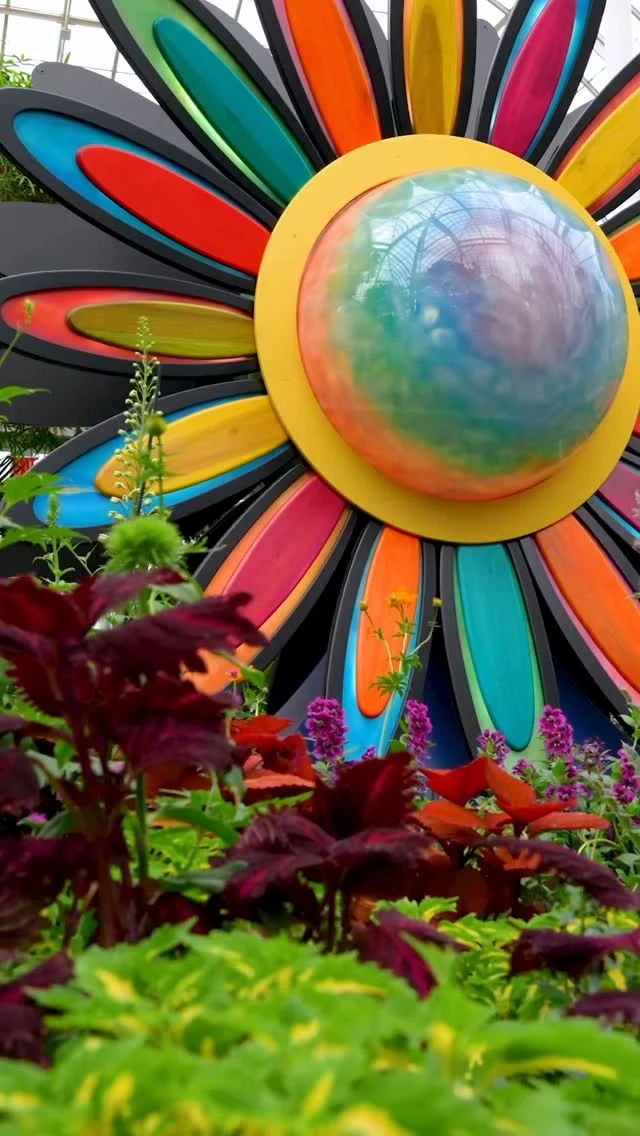 In and around the Haupt Conservatory, the psychedelic colors of the 1960s are bursting into bloom! ☮️🌼

We’re all hard at work putting together Flower Power, our celebration of flowers as symbols of peace and love—and it’s not long now till it opens on Saturday, May 23. Get a sneak peek at the work our horticulturists are doing to get this lively exhibition ready for the big moment, along with the music, art, and homages to hippie culture soon to bring us all together in nature.

Tickets through link in bio!

#FlowerPower