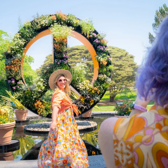 Drop in this Saturday, May 23, as Flower Power kicks off a groovy good time at the Garden! ✌️🌼

Featuring vibrant botanical displays, art and photography of the era, live music, and moments that capture the color and creativity of the 1960s, our newest exhibition invites you to “come together” around peace, love, and plants!

Hit the link in our bio to learn more and get tickets for opening weekend ☮️

#FlowerPower