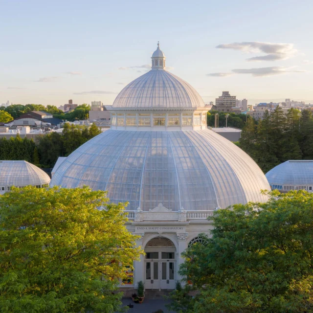 Just a heads up that the Garden will be closed this Sunday, July 26 for a private event. 👋
 
All-Garden Pass and Grounds Access Pass tickets will not be available on-site or online, and walk-up ticketing will not be offered for Members or the general public—but registered children's programs will continue as scheduled. We'll see you again when we reopen for regular hours on Tuesday, July 28!
