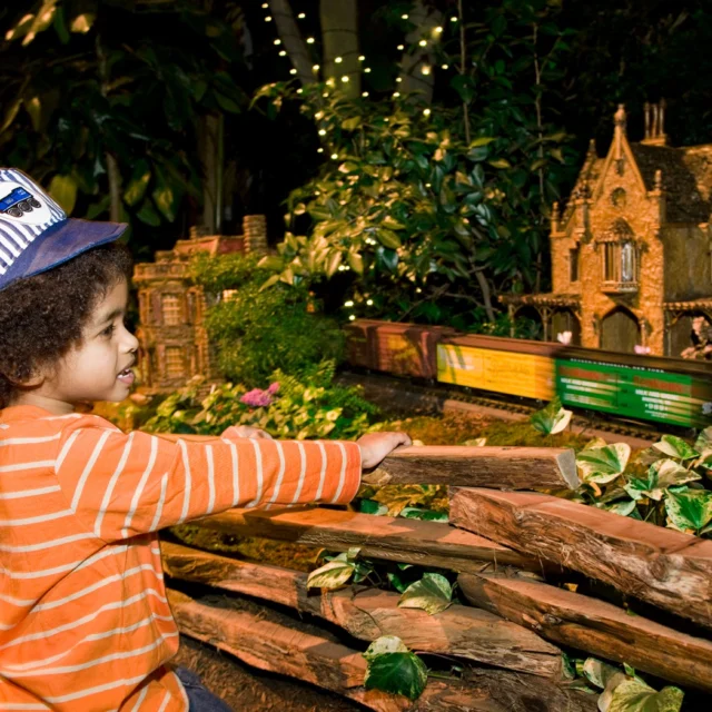 Winter’s cheer will be here soon, along with the joyful sights and sounds of the Holiday Train Show®—and we want to hear about your favorite memories from this cherished NYC tradition! 🚂✨

Visit the link in our bio to share your favorite moments and photos from past visits to the Holiday Train Show, whether it was your child’s first time seeing the trains, a special night under the twinkling lights with family, or a memorable day with friends that kicked off an annual tradition. By doing so, you'll be entered to win a one-year NYBG Family Membership, letting you visit the Garden and its exhibitions as often as you'd like. 🎁

#HTSNYBG