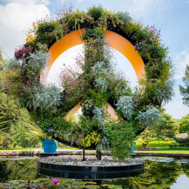 If you haven’t seen Flower Power yet (and even if you have), it’s looking fabulous! The displays have only grown more lush since early summer. ✌️🌻

From our enormous botanical peace sign to the VW buses you’ll see around the Garden, the flowers and foliage of the exhibition have thrived in the warmth of the season, growing in to create truly stunning moments indoors and out.

Treat yourself to peace, love, and plants with tickets through link in bio!

#FlowerPower