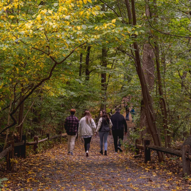 Maybe you’re a skill collector, or looking for a new hobby—even a new career. This fall, find it here at NYBG! 📚🪏🪴

Fall classes are now open for registration, giving you plenty of opportunities to cross things off your seasonal bucket list, whether it’s getting out in nature or giving a new craft a go. Come learn how to forage in the public forests around our region. Boost your artistry with a class in botanical illustration. Even learn to identify the birds migrating through NYC by feather, shape, and song.

Do something new this fall. Check out our upcoming classes through link in bio!