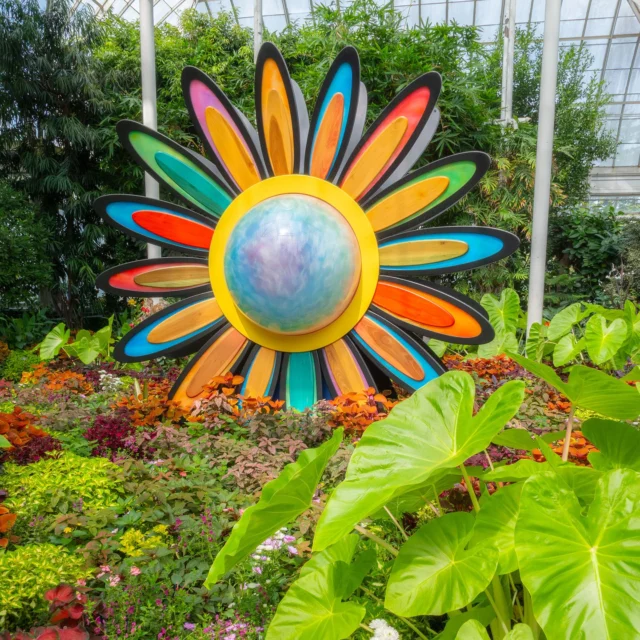 Keep the weekend going with a fall visit to the Garden—we’re open today! 👋

Spend your Monday off enjoying the final days of Flower Power inside the warmth of the Haupt Conservatory, along with art and photography of the ‘60s in the art gallery. Outdoors, Día de los Muertos brings lively energy to the Adventure Garden with a community ofrenda and our larger-than-life Catrina, dressed in thousands of marigolds. As you explore the rest of our 250 acres, keep an eye out for fall flowers like purple asters and anemones as well as the first colorful foliage of the season.

Tickets through link in bio.

#FlowerPower #DiaDeLosMuertos