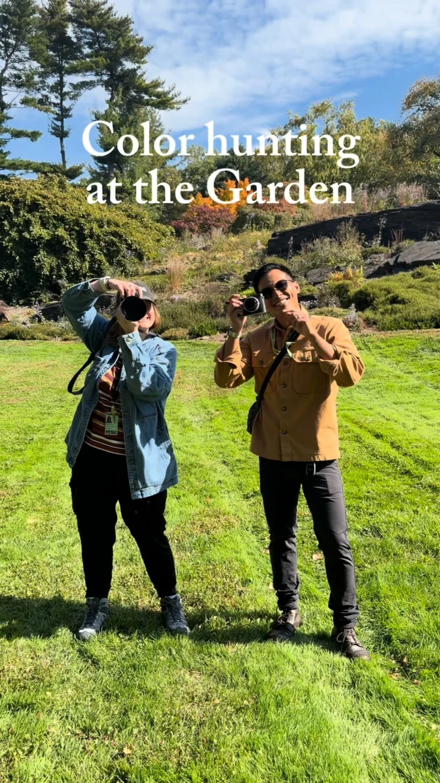 Follow along as our photographer Marlon (@marlonco.photography) and videographer Kait set out on a color hunt, right as fall beauty hits its stride at the Garden! 🌈📸

Among bright orange and red leaves, and a rainbow of fall flowers in bloom, there’s so much to see and snap during an afternoon out in our 250 acres. What’s your favorite color of the season?