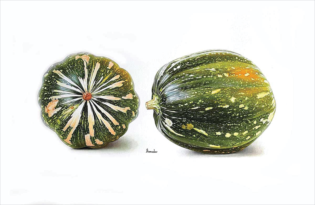Tempera painting of a green pumpkin with irregular medium sized white and orange speckles