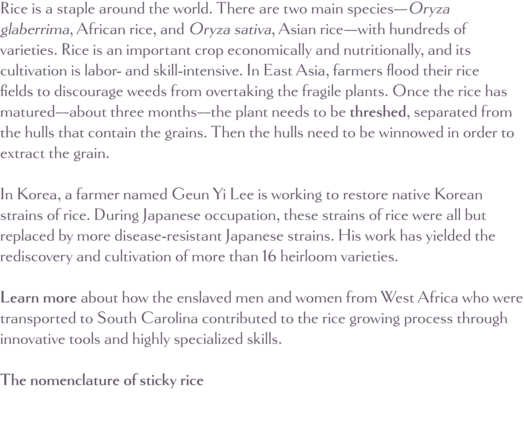 Rice is a staple around the world  There are two main species—Oryza glaberrima, African rice, and Oryza sativa, Asian   