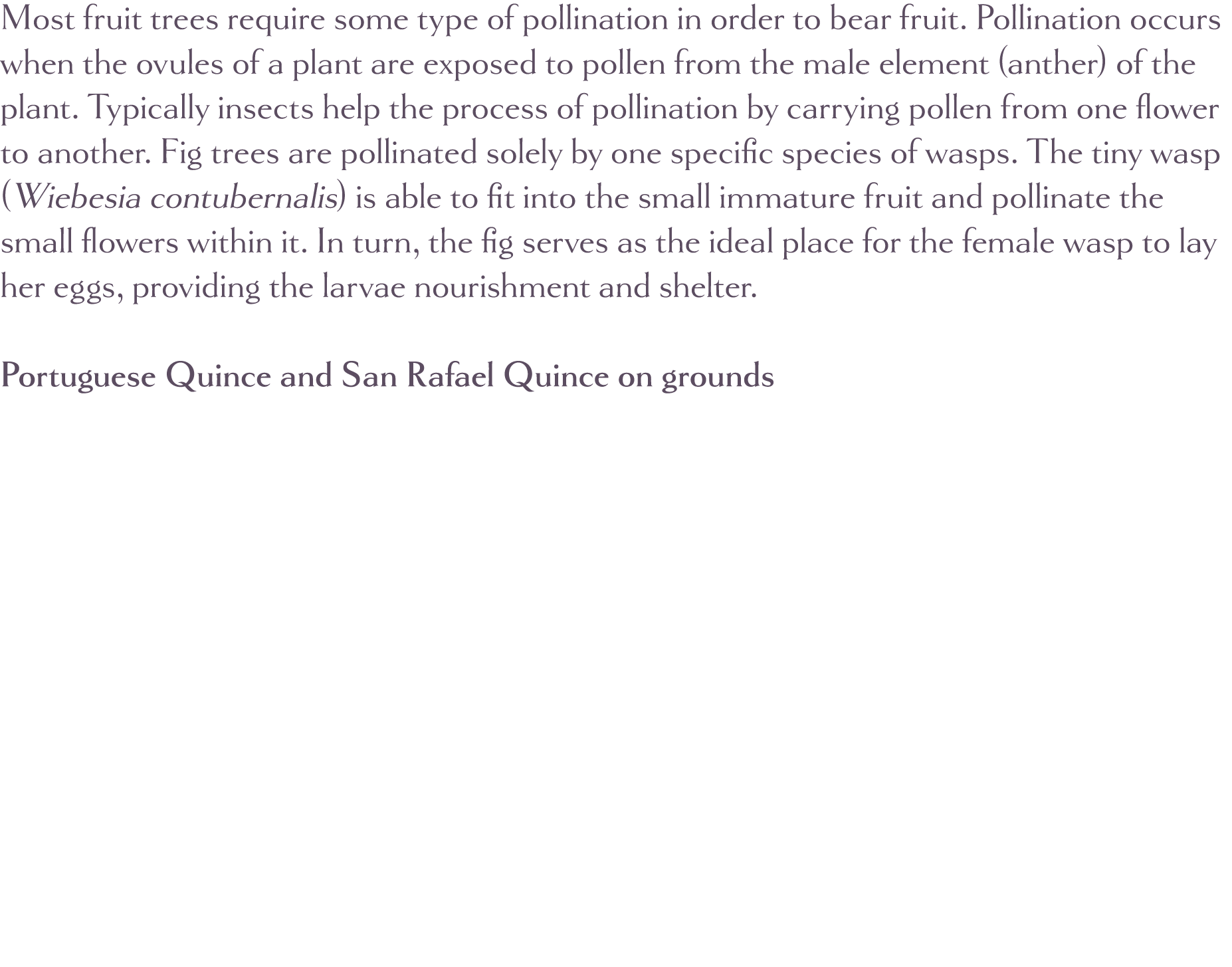 Most fruit trees require some type of pollination in order to bear fruit  Pollination occurs when the ovules of a pla   