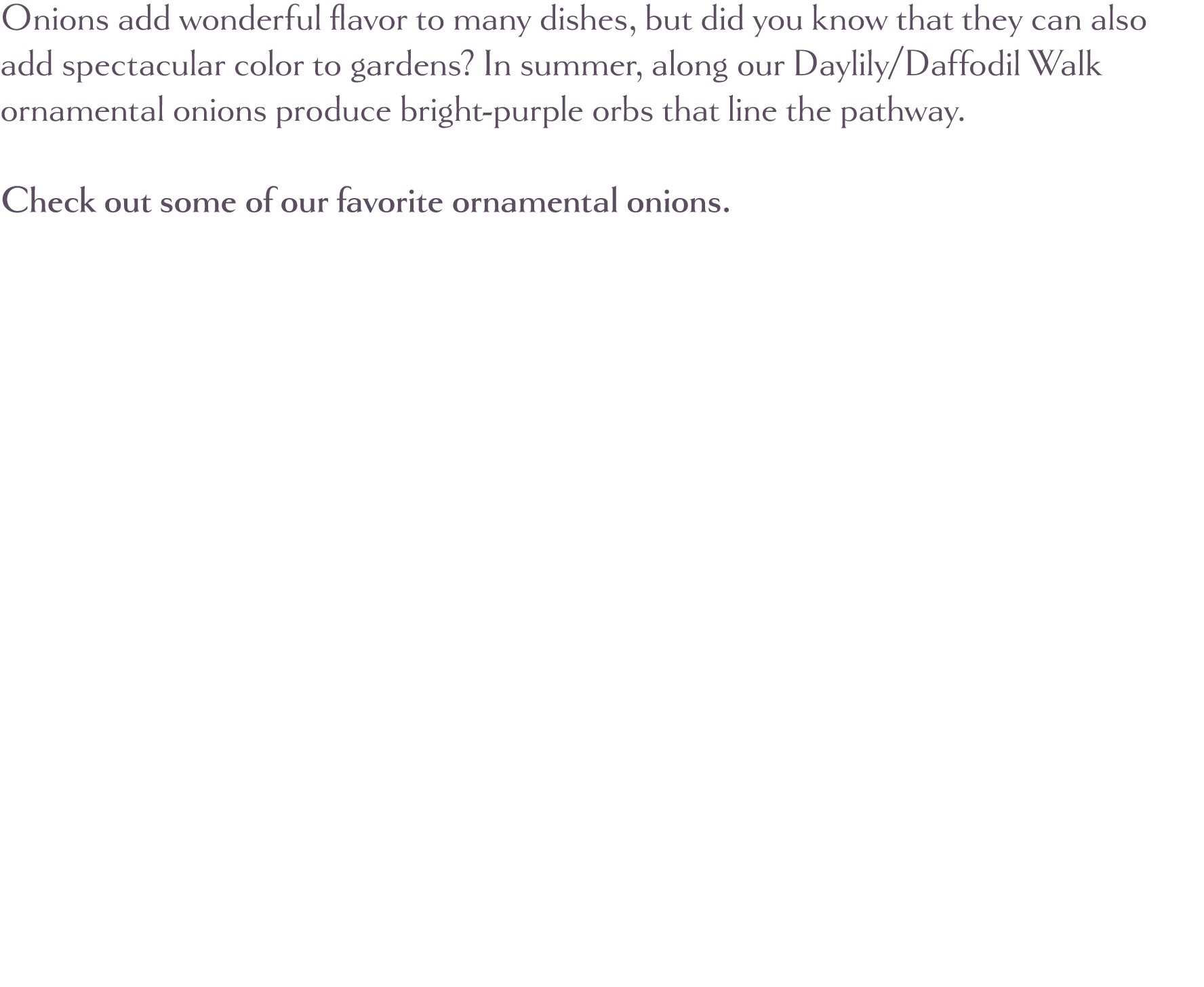 Onions add wonderful flavor to many dishes, but did you know that they can also add spectacular color to gardens  In    