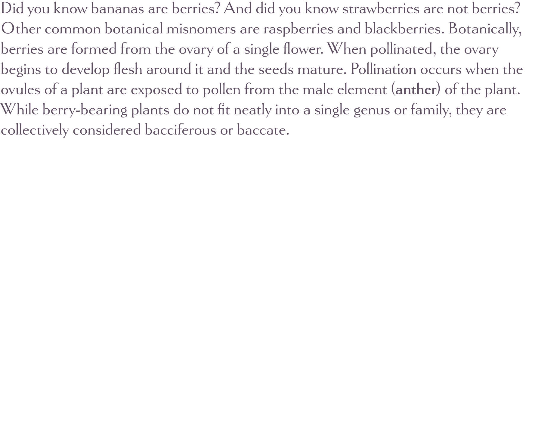 Did you know bananas are berries  And did you know strawberries are not berries  Other common botanical misnomers are   
