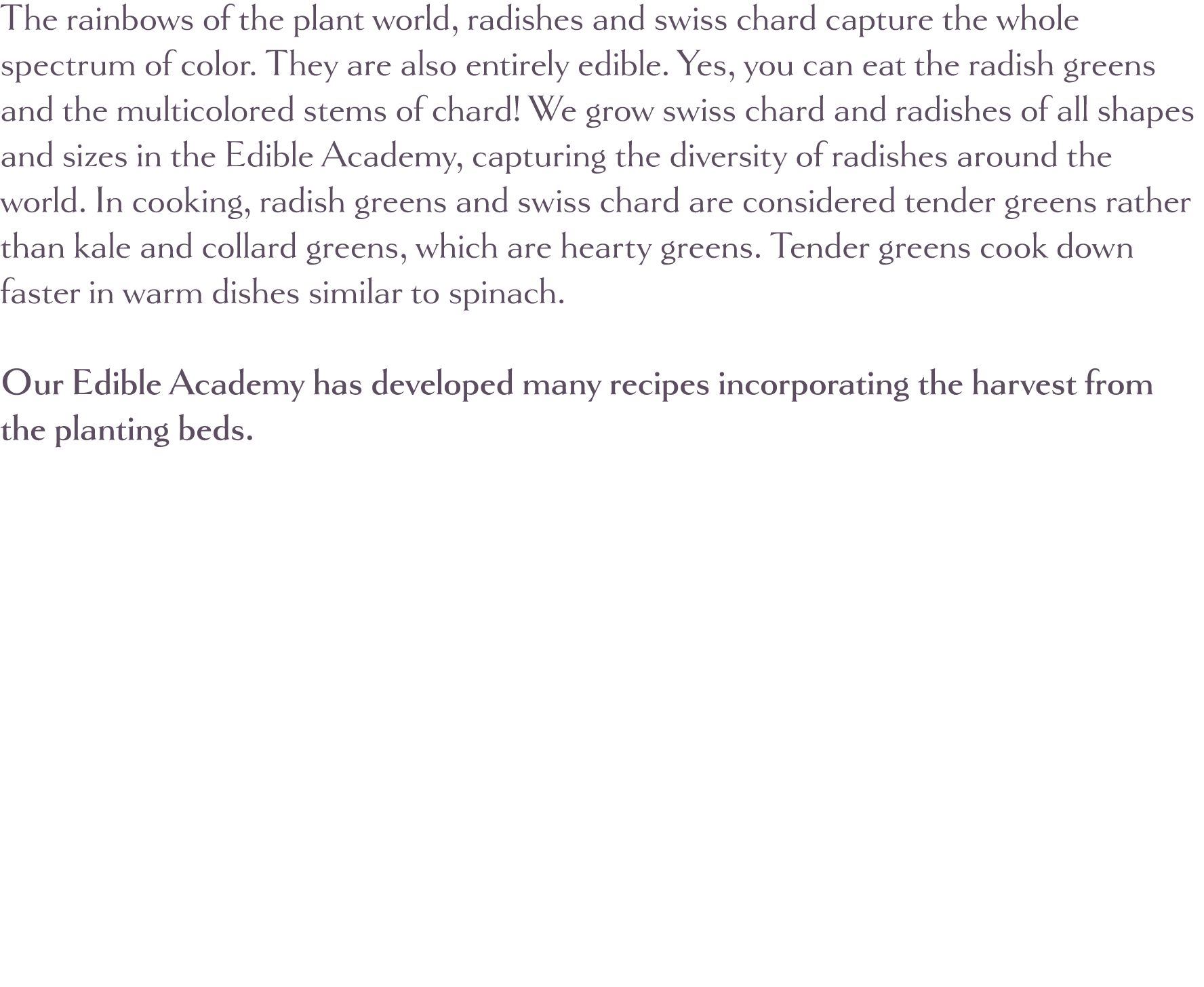 The rainbows of the plant world, radishes and swiss chard capture the whole spectrum of color  They are also entirely   