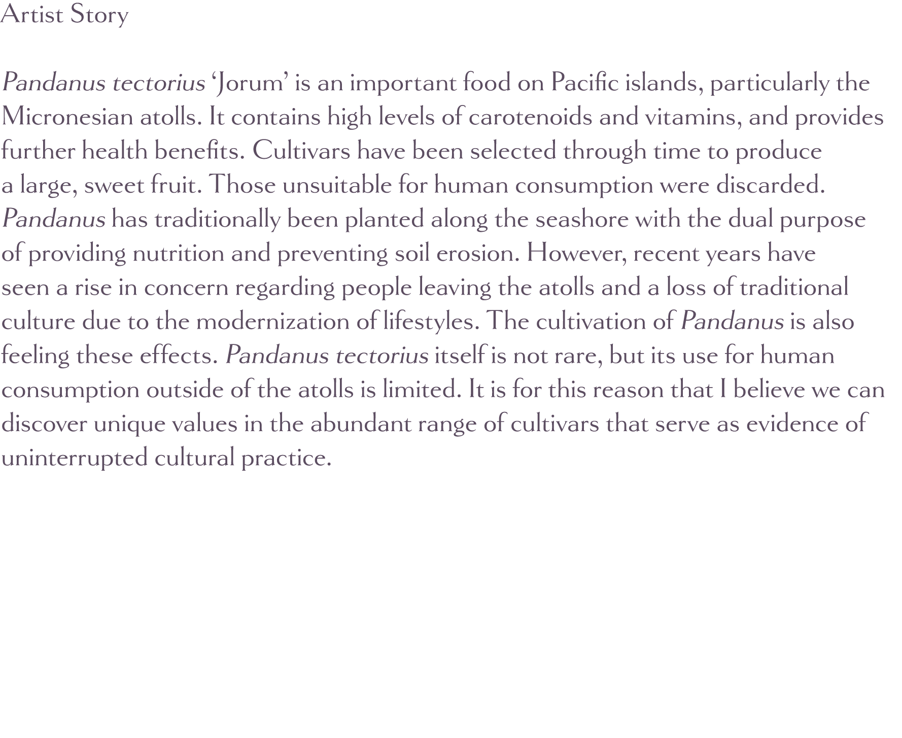 Artist Story Pandanus tectorius  Jorum  is an important food on Pacific islands, particularly the Micronesian atolls    