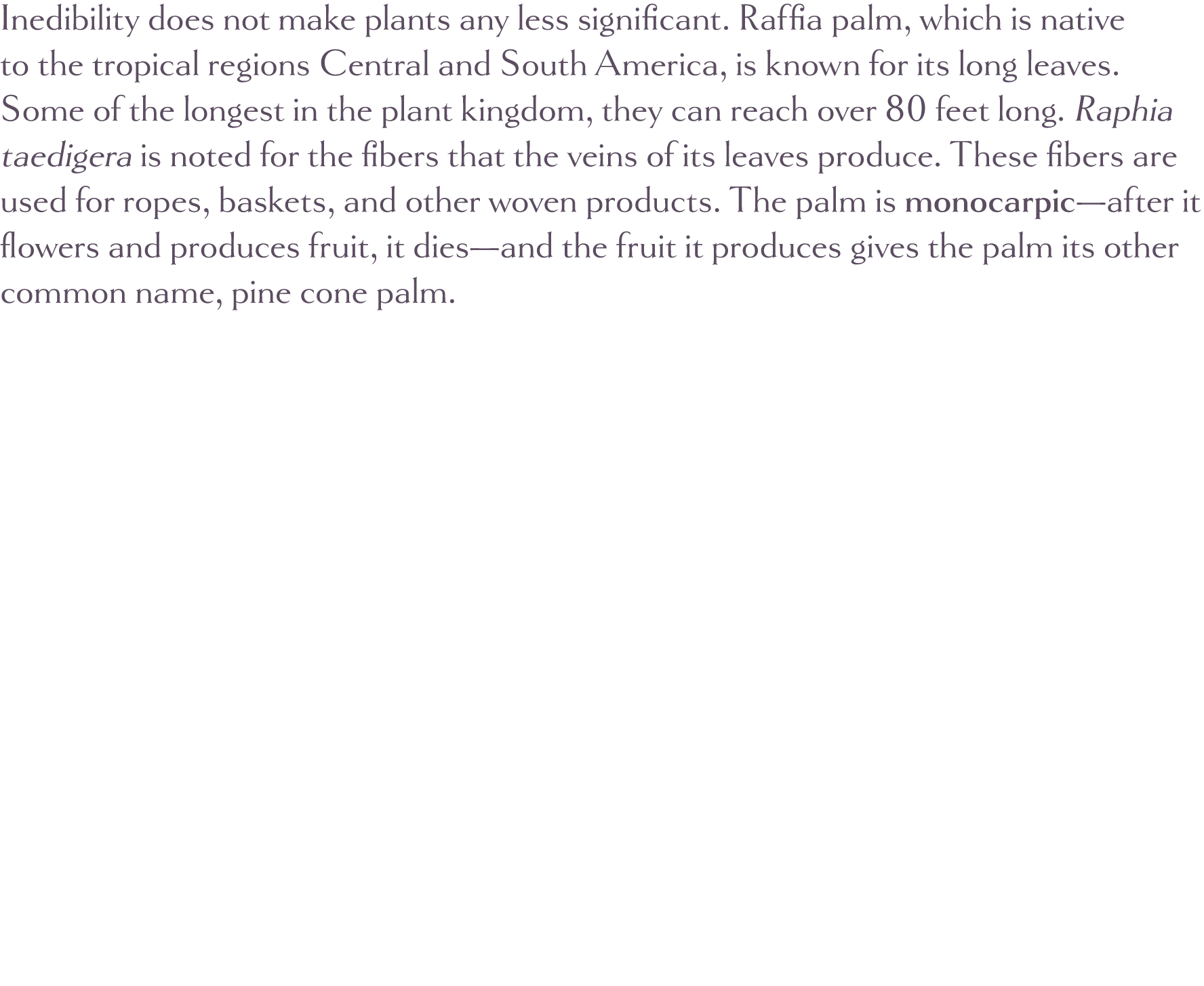 Inedibility does not make plants any less significant  Raffia palm, which is native to the tropical regions Central a   