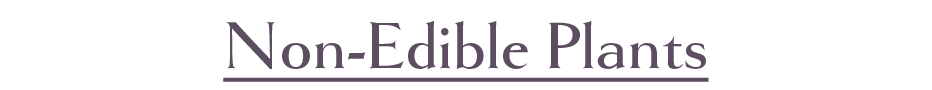 Non-Edible Plants