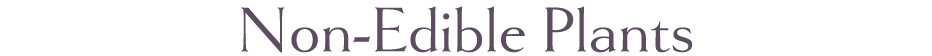 Non-Edible Plants
