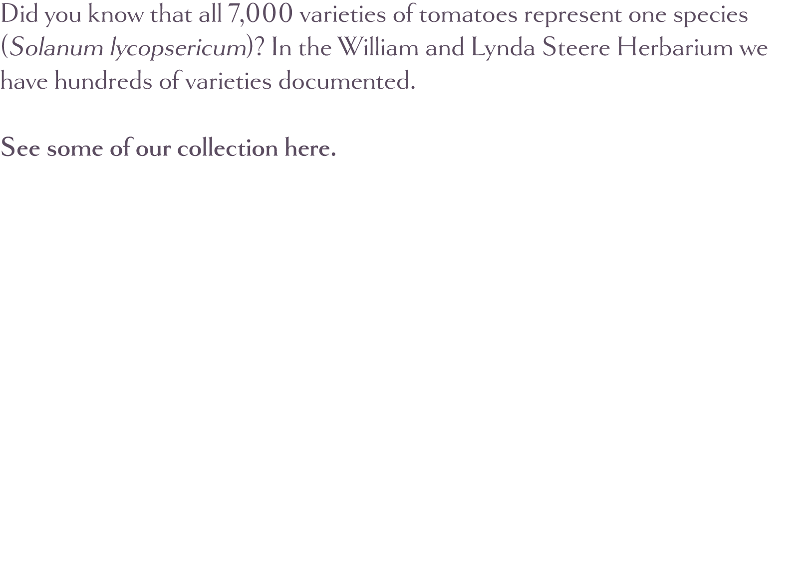 Did you know that all 7,000 varieties of tomatoes represent one species (Solanum lycopsericum)  In the William and Ly   