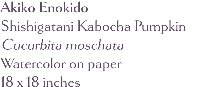 Akiko Enokido Shishigatani Kabocha Pumpkin Cucurbita moschata Watercolor on paper 18 x 18 inches