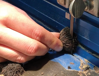 Close-up of a peach pit used for ornamentation