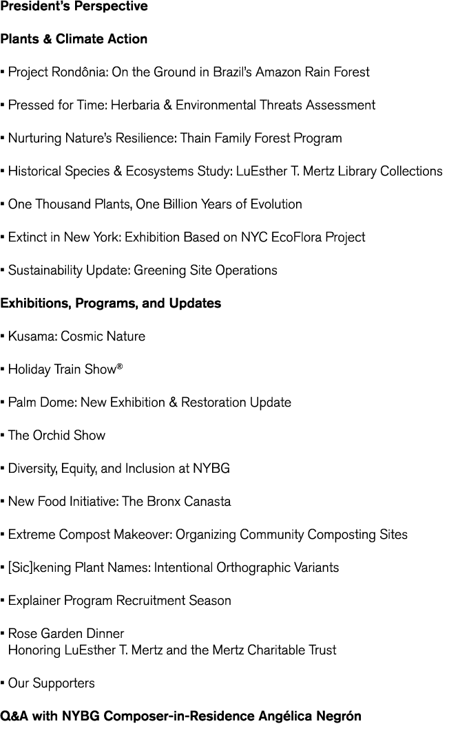 President s Perspective Plants   Climate Action   Project Rond nia  On the Ground in Brazil s Amazon Rain Forest   Pr   