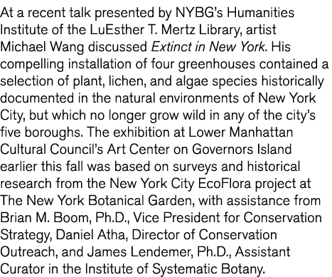 At a recent talk presented by NYBG s Humanities Institute of the LuEsther T  Mertz Library  artist Michael Wang discu   