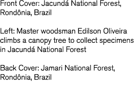 Front Cover  Jacund  National Forest  Rond nia  Brazil Left  Master woodsman Edilson Oliveira climbs a canopy tree to   