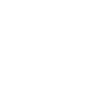 Dennis Wm  Stevenson  Ph D 