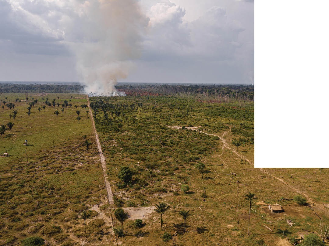 Smoke from forest fire in Rondonia