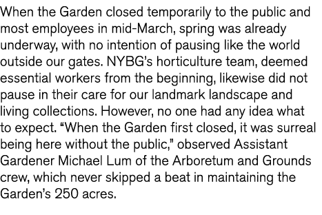 When the Garden closed temporarily to the public and most employees in mid-March, spring was already underway, with n   