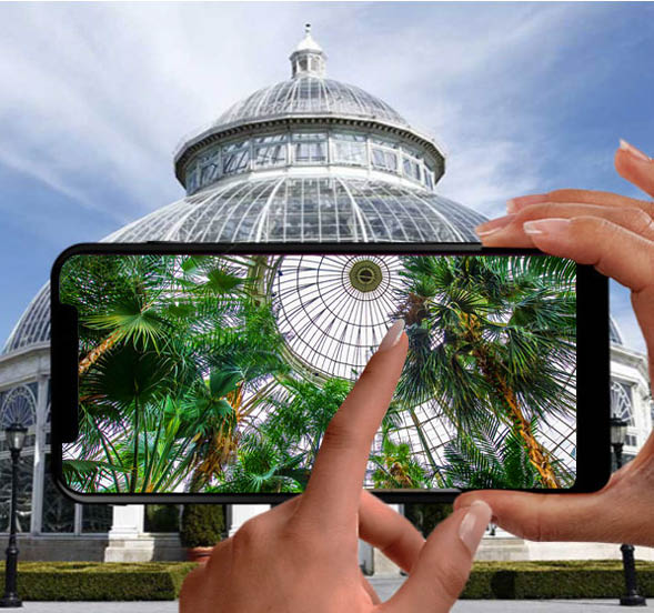 Scientist measuring an Ash tree 