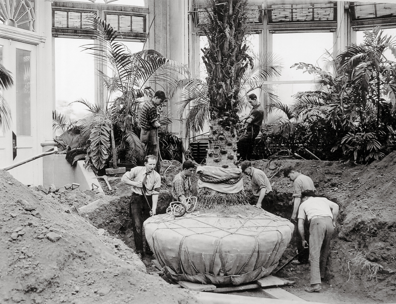Three teachers in the Conservatory with paper and pencils