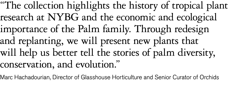  The collection highlights the history of tropical plant research at NYBG and the economic and ecological importance    