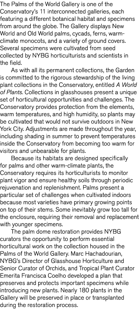 The Palms of the World Gallery is one of the Conservatory s 11 interconnected galleries  each featuring a different b   