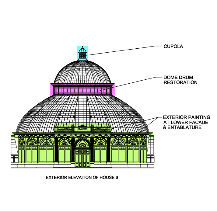 Dr  Doug Daly with mateiros wearing hard hats in Brazil 