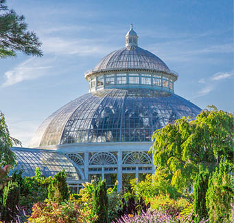 Scientist measuring an Ash tree 